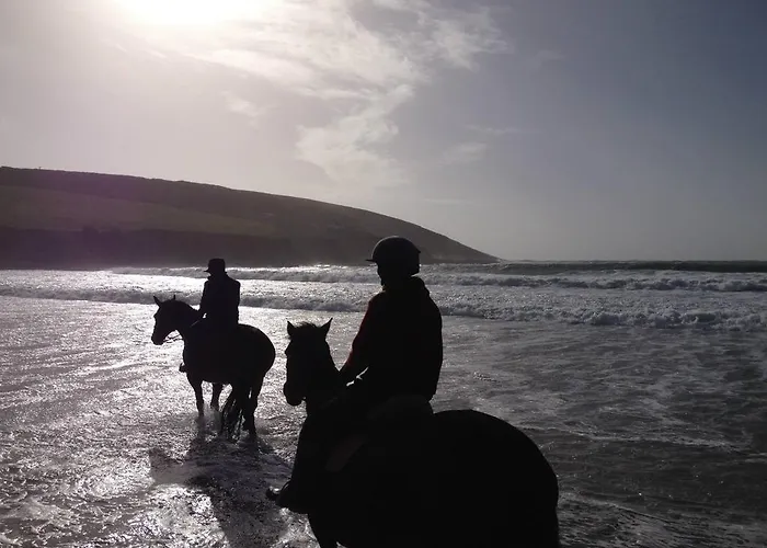 Bed & Breakfast The Well